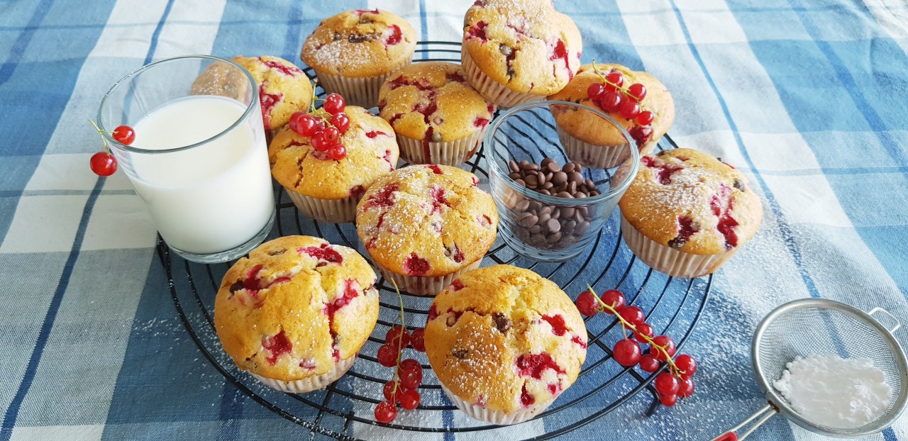 Johannisbeermuffins mit Schokodrops